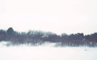 K&otilde;verlaiu l&otilde;unakallas 28.02.2004